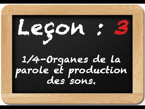Les Sons De La Parole Leçon 3 : 1/4-Organes de la parole et production des sons.