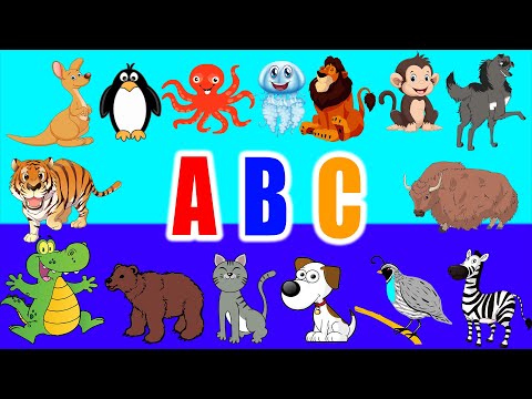 Alphabet Animals | Learn ABC with Animals | LittleKidsTV