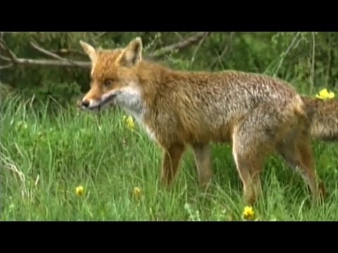 Mal di schiena in basso a sinistra si arrende ragione Il bambino ha un mal di schiena dopo un allenamento