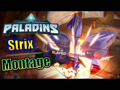 PALADINS STRIX MONTAGE | New Weapon Skin!