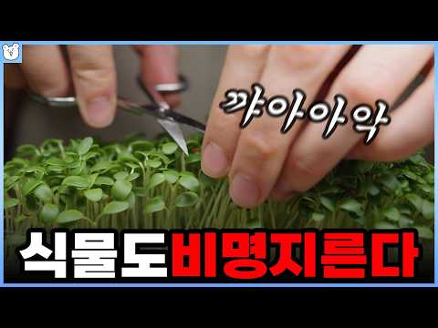 이제 풀 뜯지 말아야겠다..