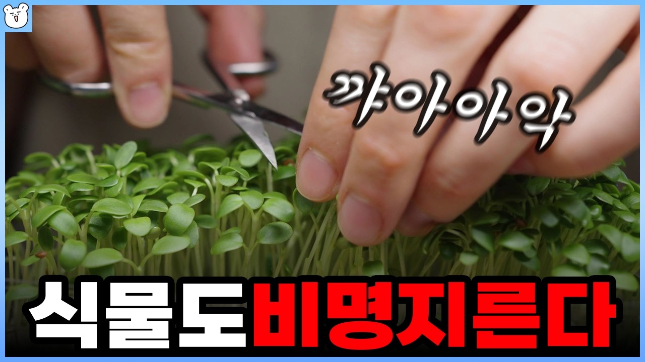 이제 풀 뜯지 말아야겠다..