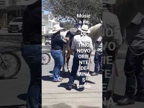 LEU DE    CELESTINO NOVO  ORIENTE DE MINAS GERAIS