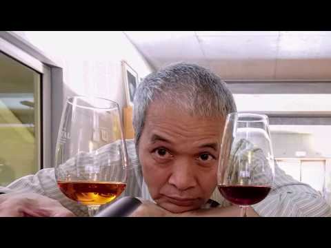 Vale do Douro - Aveiro - Guimarães - Braga 2019