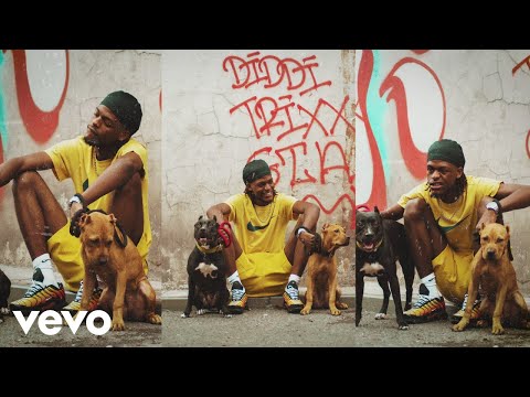 Diddi Trix - Chien d'la casse (Clip officiel)