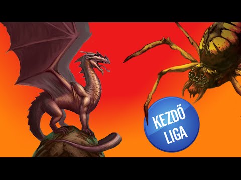 Kezdő Liga - Pörgős verseny (2015. augusztus 7.)