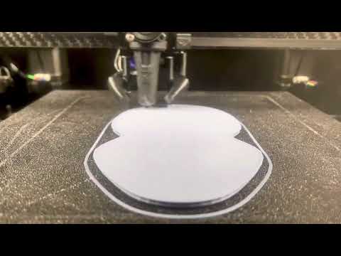 Vzbot 235 and Goliath printing top infill at 250mm/s