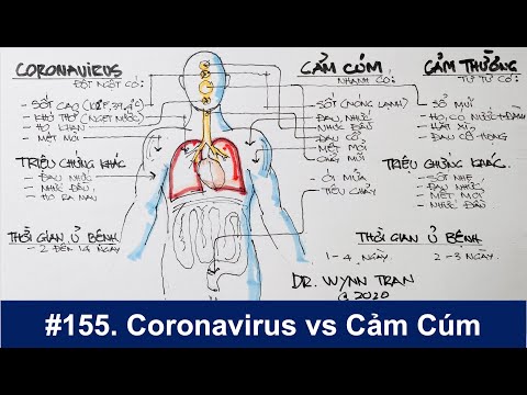 Phân biệt giữa Coronavirus, cảm cúm, và cảm thường