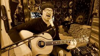 🌿Cold Hearts-Closed Minds🌿Nanci Griffith🌿Cover by Bman🌿#nancigriffith #americana #folk #folkmusic