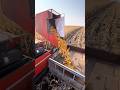 Small Corn Harvester Quality Tools And Machinery Enhance Work Efficiency