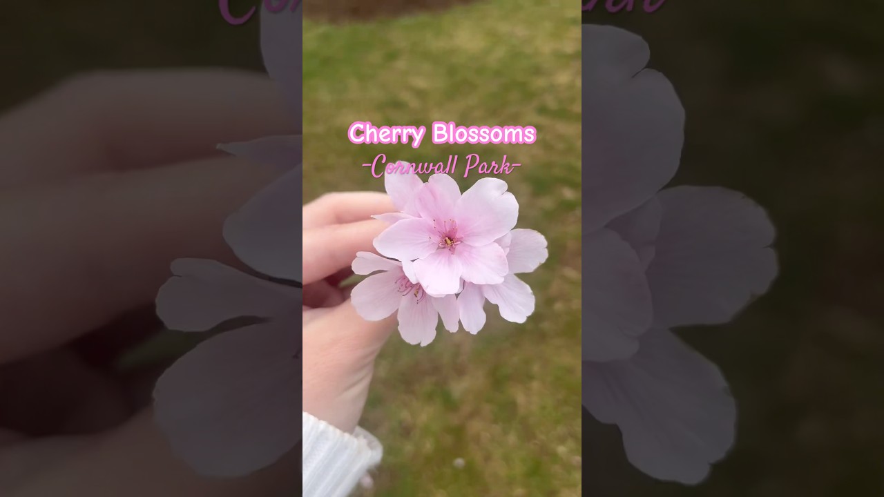 YouTube Short thumbnail