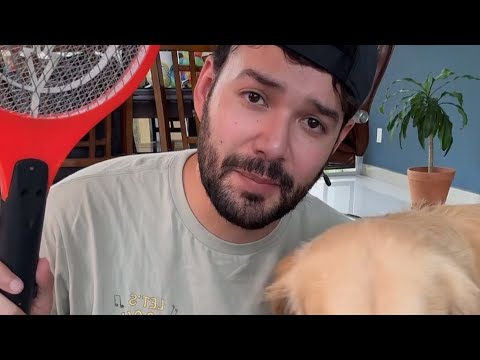 Felipe against the Mosquito racket