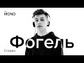 Фогель Стерва Эксклю Фогель Стерва Эксклю
