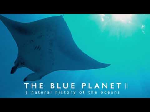Soundtrack Blue Planet II (Theme Song - Epic Music) - Musique film Blue Planet 2