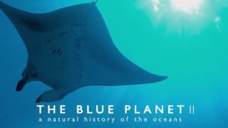 Soundtrack Blue Planet II (Theme Song - Epic Music) - Musique film Blue Planet 2