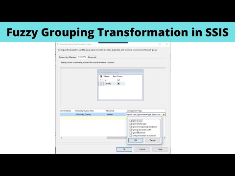 41 Fuzzy Grouping Transformation in SSIS
