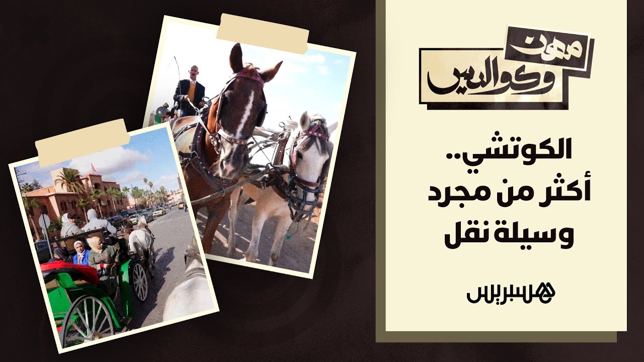 الكوتشي.. أكثر من مجرد وسيلة نقل thumbnail