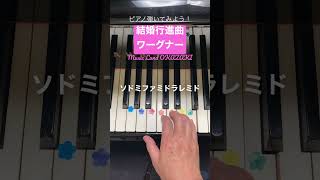 Download lagu #結婚行進曲#ワーグナー #岡崎音楽教室 #オンラインピアノ #ピアノ #piano #ピアノ弾いてみよう#shorts   お問い合わせはコメント欄から mp3