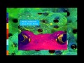 Peter Gabriel Shaking The Tree Bottrill Remix 1080p HD W Lyrics