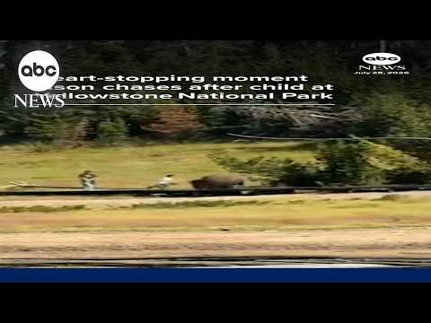 Heart-stopping moment bison chases after child at Yellowstone