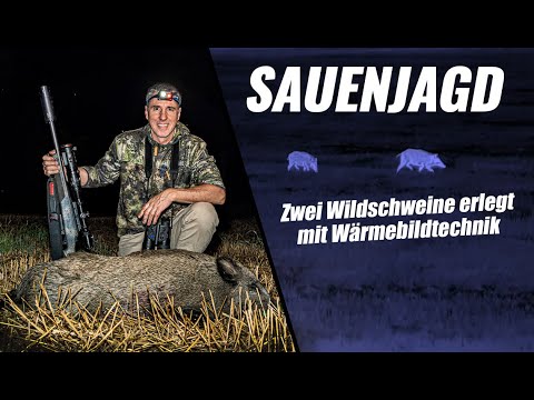 Nachtjagd auf Wildschweine mit Wärmebild - The Ultimate Thermal Night Hunt