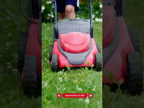 5 Fehler, die deinen Mai im Naturgarten ruinieren - Gartenexpedition #shorts