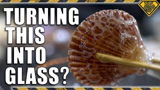 Turning Seashells Into Glass (Debunking Viral Videos)