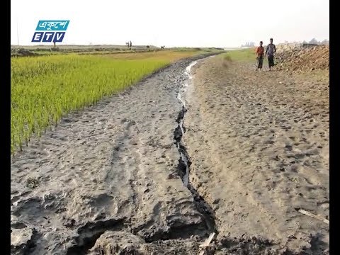 চিকনদিয়া শুকিয়ে যাওয়ায় বোরো চাষাবাদ বন্ধের আশঙ্কা