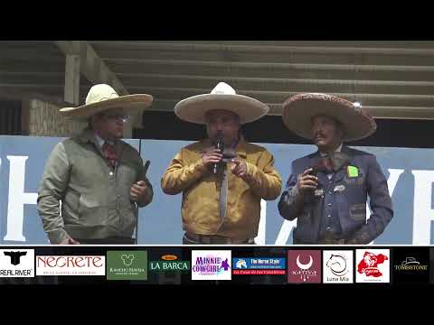 Pialadero Abierto Desde Arena Naveja QH