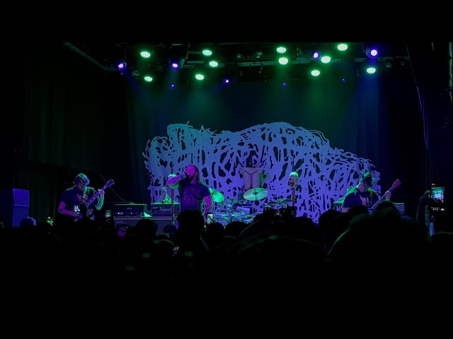 Video preview