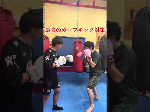 最強のカーフキック対策ができる？！！