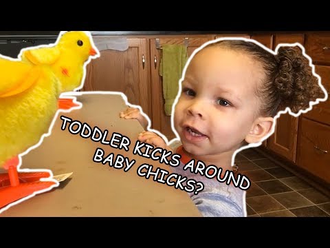 Vidéo du commentaire 1 Vidéo du commentaire 1