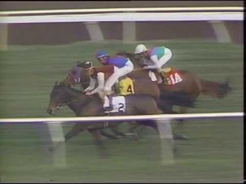 Toussaud  Matriarch 1993