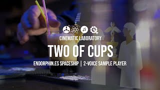 Video thumbnail for Endorphin.es Two of Cups | Two channel sample player by Cinematic Laboratory