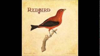 Redbird patience.wmv