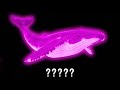 15 Humpback Whale Calling Sound Variations In 50 Seconds MODIFY EVERYTHING