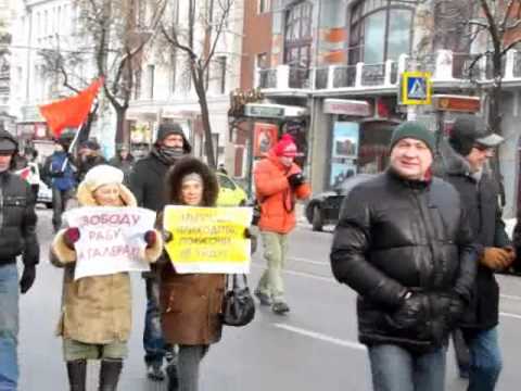 Оппозиция в Воронеже требовала отставки Селянина и честных выборов