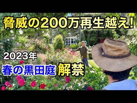 今年の最初の花がすでに美しさを見せています。彼らは何ですか？  庭園