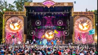 &quot;Smile&quot; The String Cheese Incident Electric Forest 2013