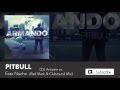 Pitbull - Esta Noche [Official Audio]