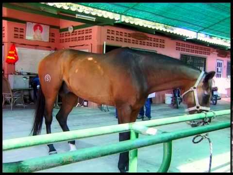 สมาชิกที่เล็กที่สุดของผู้หญิง ค้อนของ ธ อร์ใน Odintsovo