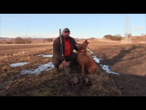 Spotkałem myśliwych - odcinek 197  Polowanie na Podkarpaciu. Część I