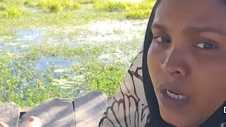 Download lagu বাড়িটি নদীতে নিয়ে যাওয়া আগে 😓 পর্ব -২ mp3 Download lagu বাড়িটি নদীতে নিয়ে যাওয়া আগে 😓 পর্ব -২ mp3