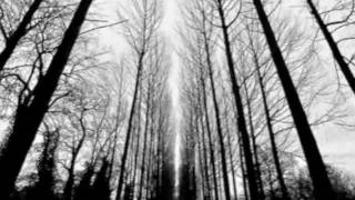 winter is gone cover (audio only)