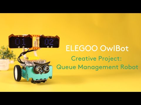OwlBot Extended Projects: Queue Management Robot
