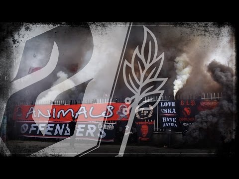 SECTOR G: цигани от Пловдив - ЦСКА /18.03/