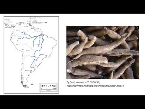 動画サムネイル