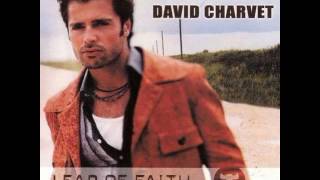 Teach Me How to Love  - David Charvet