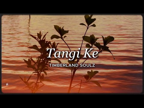 TIMBERLAND SOULZ - Tangi Ke (Lyrics & Translation)