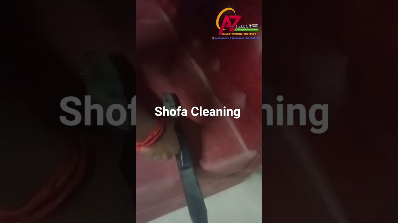 Shofa Dust Cleaning